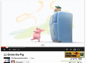 225 ORMIE LE COCHON